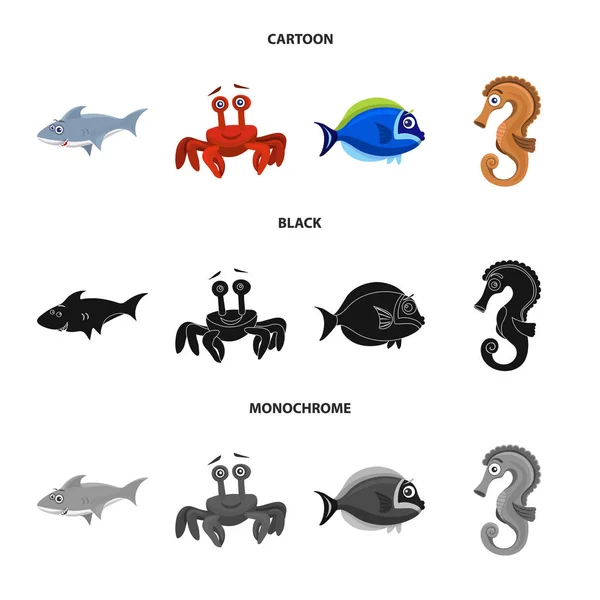 Vektorillustration des Meeres- und Tierlogos. Set von Meeres- und Meeresbestandsvektoren Illustration. — Stockvektor