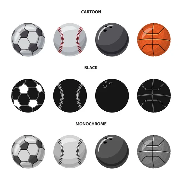 Изолированный объект иконы спорта и мяча. Коллекция спортивного и спортивного инвентаря . — стоковый вектор