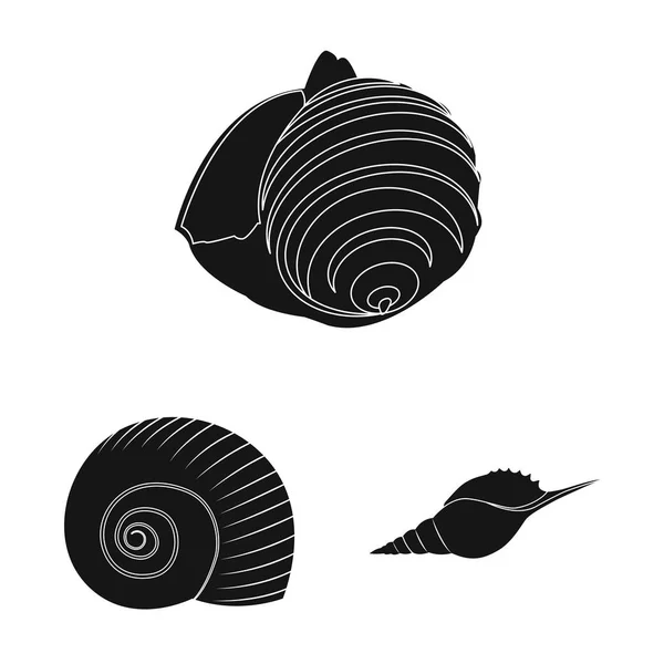 Vector ontwerp van natuur en Oceaan logo. Collectie van natuur en weekdier vector pictogram voor voorraad. — Stockvector