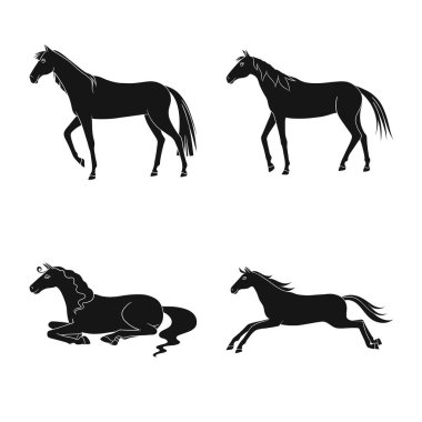 Fauna ve mare logosu vektör illüstrasyon. Fauna ve aygır stok vektör illüstrasyon koleksiyonu.