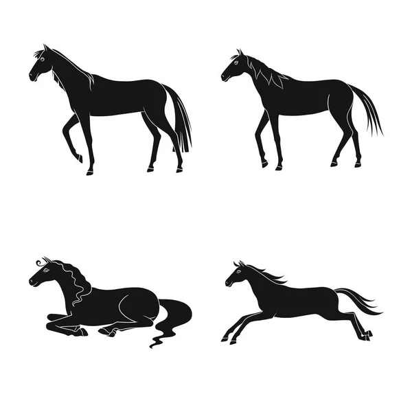 Векторная иллюстрация логотипа фауны и кобылы. Коллекция векторных иллюстраций фауны и жеребца . — стоковый вектор