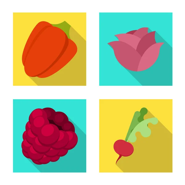 Conception vectorielle de l'icône fraîche et rouge. Collection d'illustrations vectorielles de bouillon frais et bio . — Image vectorielle