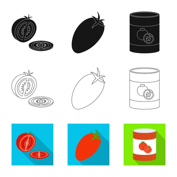 Vector illustration of vegetable and delicious icon. Set of vegetable and natural stock symbol for web. — Stock Vector