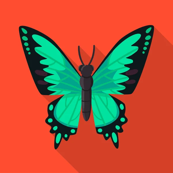 Objeto aislado de signo de mariposa y especie. Colección de mariposa e ilustración de vector de stock volador . — Archivo Imágenes Vectoriales