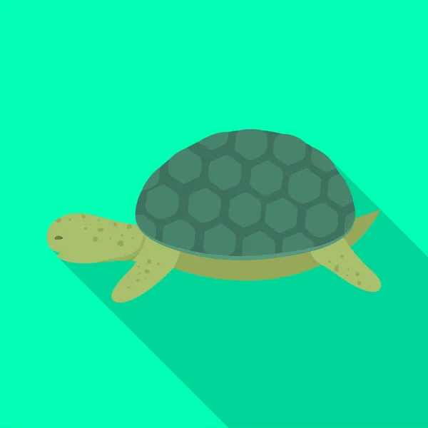Wyizolowany obiekt symbolu żółwia i Maori. Zestaw żółwia i zwierzęcy symbol zapasów dla www. — Wektor stockowy