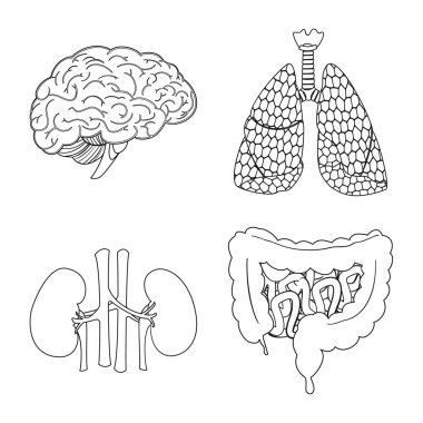 Vücut ve insan simge vektör çizimi. Vücut ve tıbbi hisse senedi vektör çizim koleksiyonu.
