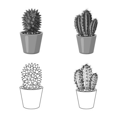 Kaktüs ve pot simge vektör Illustration. Kaktüs ve kaktüsler koleksiyonu stok web simgesi.