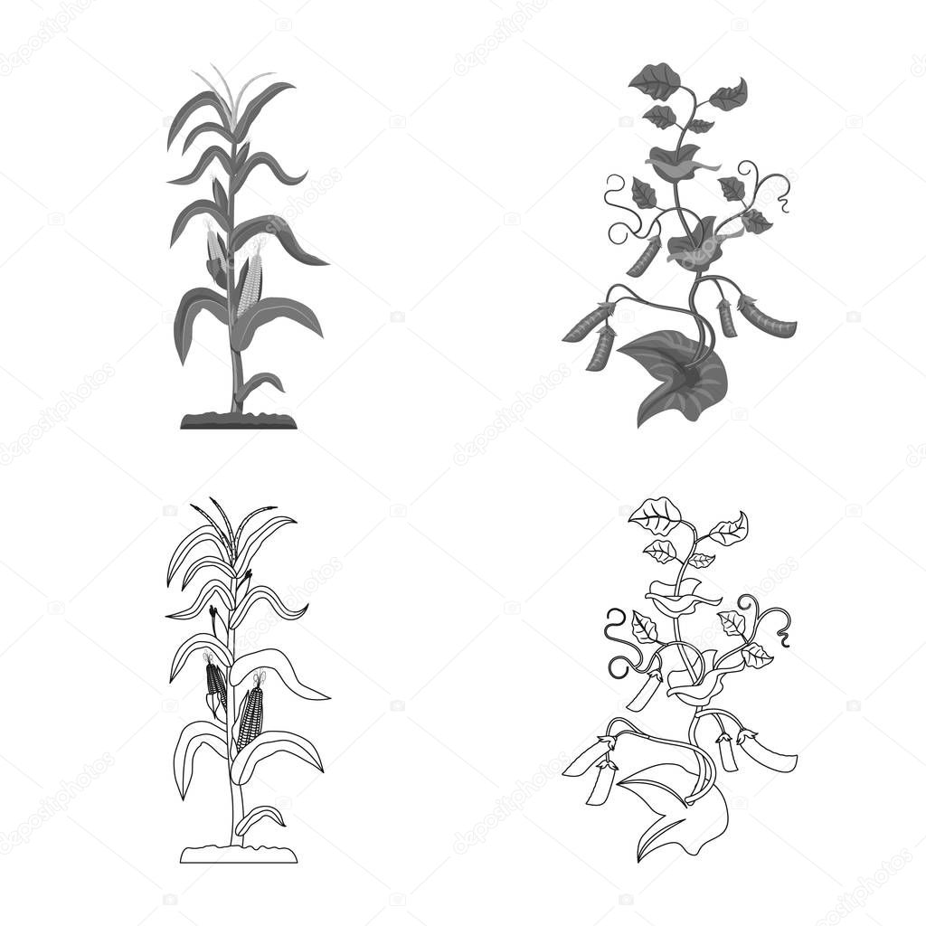 Isolated object of greenhouse and plant sign. Collection of greenhouse and garden stock symbol for web.