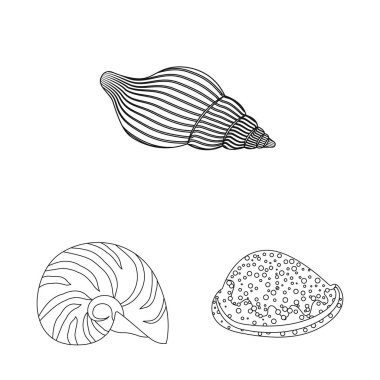 Egzotik ve deniz ürünleri işareti Vektör illüstrasyon. Web için egzotik ve su stok sembolü seti.