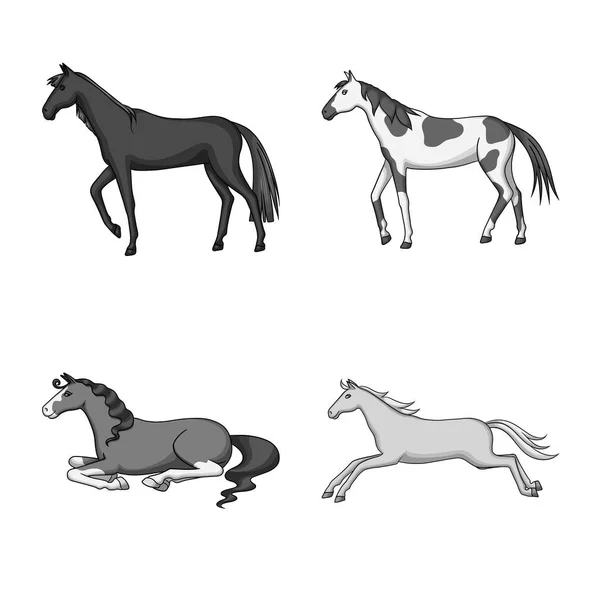Projeto vetorial da fazenda e do logotipo da equitação. Coleta de fazenda e símbolo de estoque equestre de web . —  Vetores de Stock
