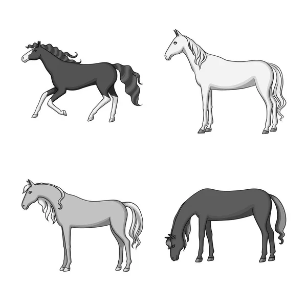 Geïsoleerd voorwerp van het boerderij-en rijlogo. Set van boerderij en Paardensport vector pictogram voor voorraad. — Stockvector