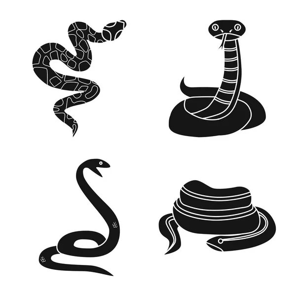 Design vetorial de cobra e logotipo assustador. Conjunto de ícone de vetor de cobra e veneno para estoque . — Vetor de Stock