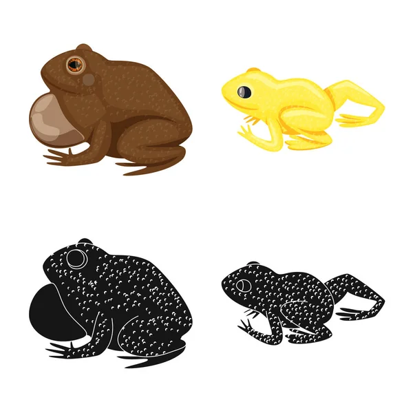 Ilustração vetorial da vida selvagem e logotipo do pântano. Coleção de animais selvagens e répteis símbolo de estoque para web . — Vetor de Stock