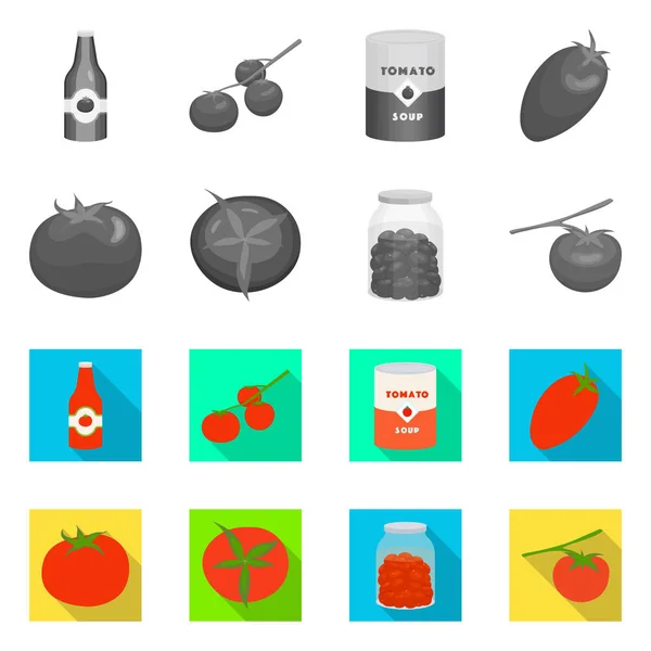 Conception vectorielle de légumes et délicieux signe. Collection d'icônes vectorielles végétales et naturelles pour stock . — Image vectorielle
