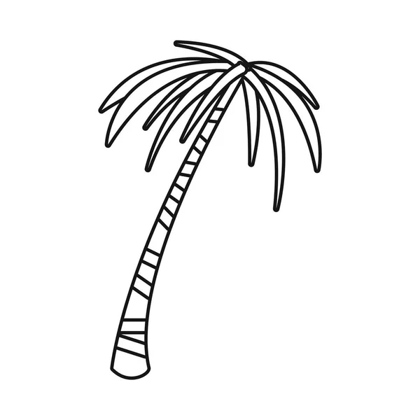 Vektordesign der Handfläche und des hohen Symbols. Reihe von Abbildungen von Palmen und Kokosnüssen. — Stockvektor