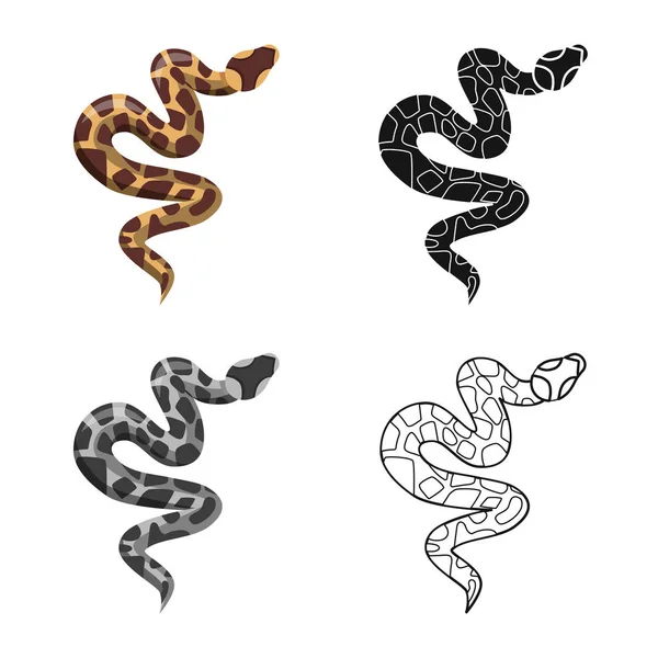 Objeto isolado de serpente e ícone venenoso. Gráfico de serpente e ícone de vetor de pele para estoque . — Vetor de Stock