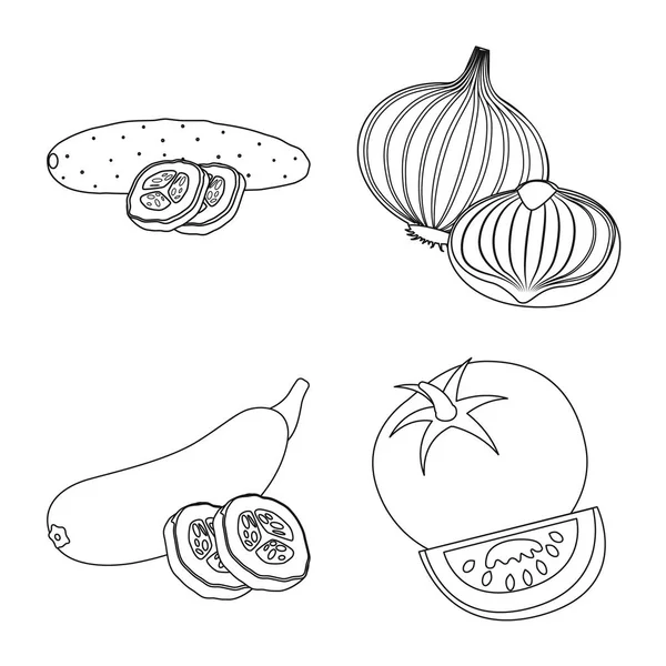 Objet isolé de légume et de fruit icône. Ensemble d'illustration vectorielle de légumes et de bouillon végétarien . — Image vectorielle