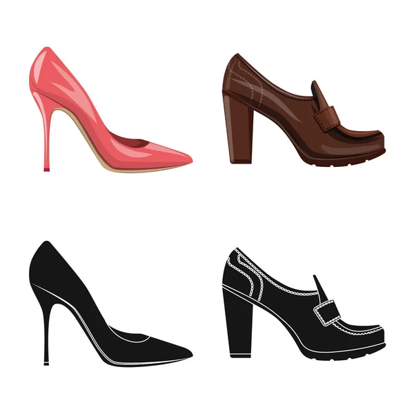 Projeto vetorial de calçado e ícone de mulher. Conjunto de calçado e símbolo de estoque de pé de web . — Vetor de Stock