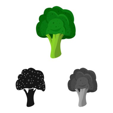 Brokoli ve sebze logosu vektör illüstrasyon. Web için brokoli ve yeşil stok sembolü koleksiyonu.
