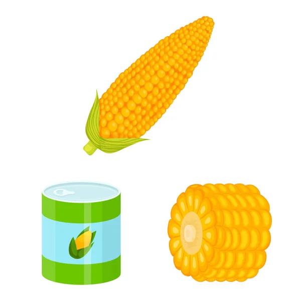 Illustrazione vettoriale di granturco e icona alimentare. Serie di illustrazioni vettoriali del mais e delle scorte vegetali . — Vettoriale Stock