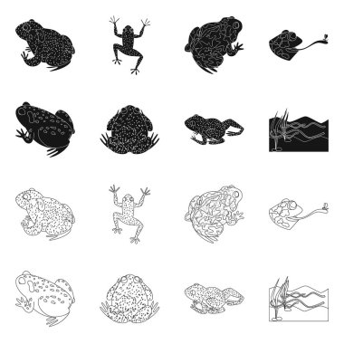 Vahşi yaşamın ve bataklık sembolünün vektör çizimi. Ağ için vahşi yaşam ve sürüngen sembolü seti.
