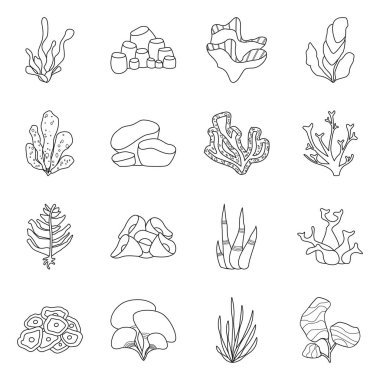 Deniz ve okyanus işareti vektör tasarımı. Stok için deniz ve flora vektör simgesinin toplanması.