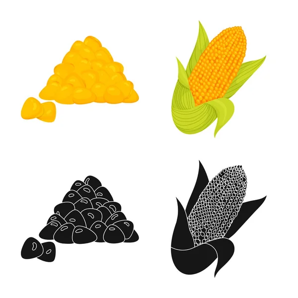 玉米地和蔬菜标志的孤立对象。玉米地和素食种群向量集合例证. — 图库矢量图片