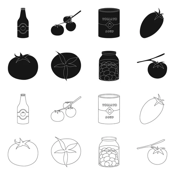 Objet isolé de légumes et délicieux signe. Ensemble d'illustration vectorielle de légumes et de bouillon naturel . — Image vectorielle