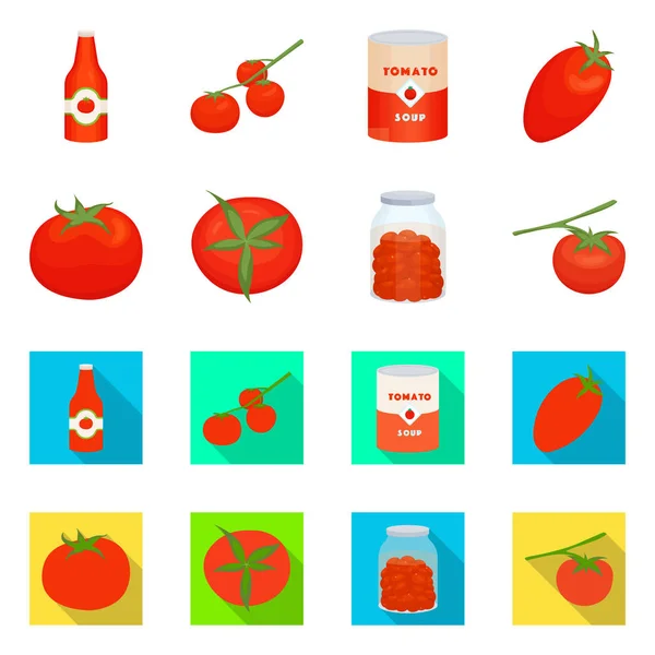 Illustration vectorielle de légume et symbole délicieux. Ensemble d'illustration vectorielle de légumes et de bouillon naturel . — Image vectorielle