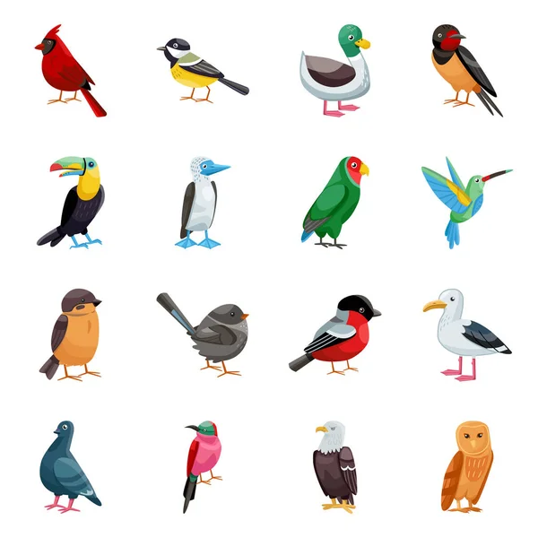 Vector illustration of animal and wild icon. Set of animal and nature vector icon for stock. — Stock Vector