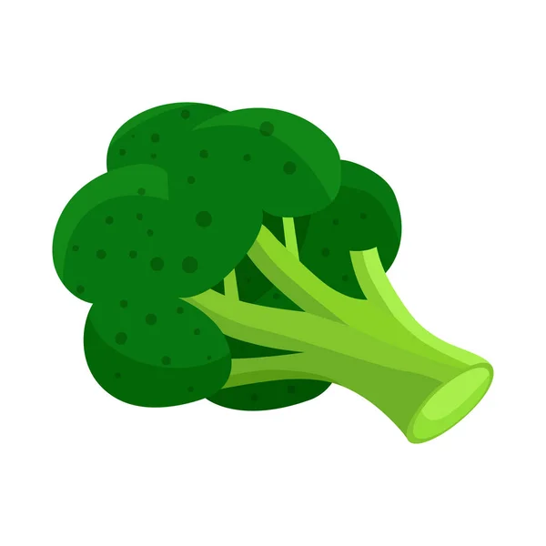 Vector ontwerp van broccoli en voeding logo. Set van broccoli en plant vector pictogram voor voorraad. — Stockvector