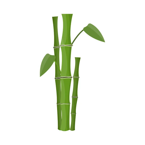 Conception vectorielle de bambou et signe d'arbre. Collection de bambou et icône vectorielle verte pour stock . — Image vectorielle