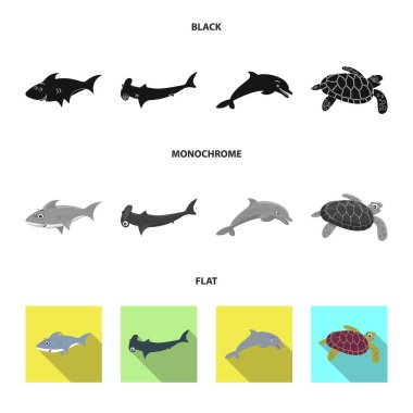 Deniz ve hayvan sembolü vektör tasarımı. Deniz ve deniz hisse senedi simgesi web için set.