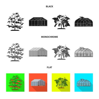 Sera ve bitki simgesi yalıtılmış nesne. Sera ve Bahçe vektör simgesini hissenin koleksiyonu.