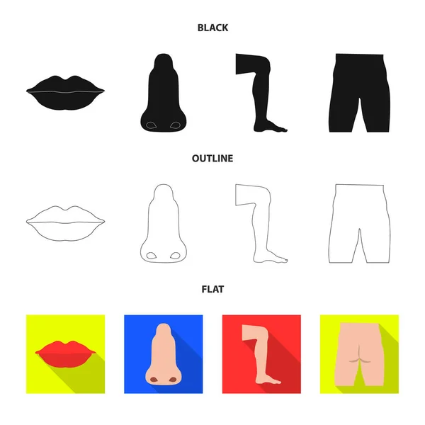 Illustration vectorielle du symbole humain et partiel. Collection de l'homme et la femme stock symbole pour le web . — Image vectorielle