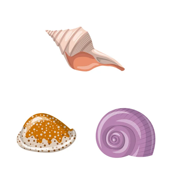 Vector ontwerp van Seashell en weekdier symbool. Collectie van schelp-en schaaldieren vector pictogram voor voorraad. — Stockvector