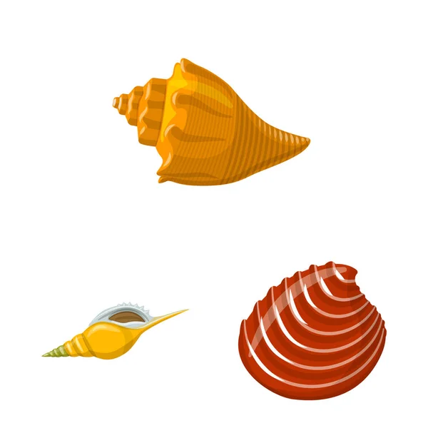 Isolerat föremål för Seashell och mollusk logo typ. Insamling av Seashell och skaldjur vektor ikonen för lager. — Stock vektor