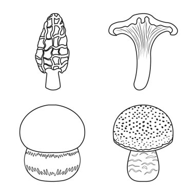 Orman vektör tasarımı ve taze logo. Orman ve doğa stok vektör illüstrasyon koleksiyonu.