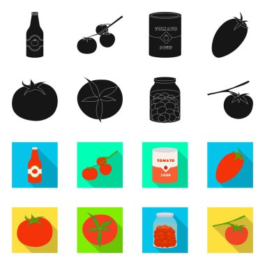 Sebze ve lezzetli simgesi vektör illüstrasyon. Sebze ve doğal stok vektör illüstrasyon seti.