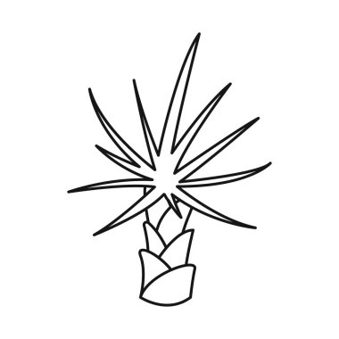 Palmiye izole nesne ve büyüyen simge. Stok için palmiye ve muz vektör simgesi koleksiyonu.