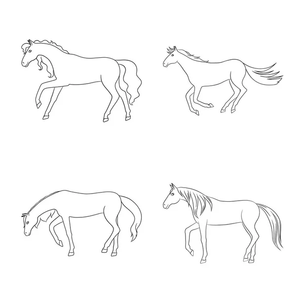 A mén és a vágós szimbólum izolált tárgya. Mén és lovas állomány szimbóluma webes. — Stock Vector