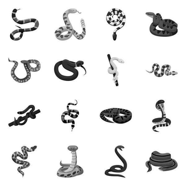 Objeto aislado de serpiente y logo espeluznante. Colección de serpiente y animal vector icono para stock . — Archivo Imágenes Vectoriales