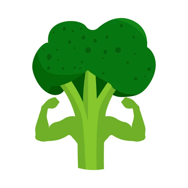Diseño vectorial de brócoli y signo vitamínico. Conjunto de brócoli e ingrediente vector icono para stock . — Vector de stock