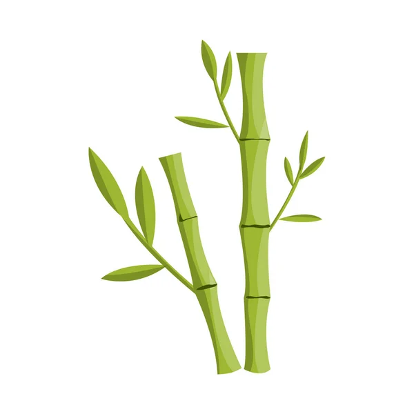 Vector illustration of bamboo and tree symbol. Collection of bamboo and green vector icon for stock. — Stock Vector