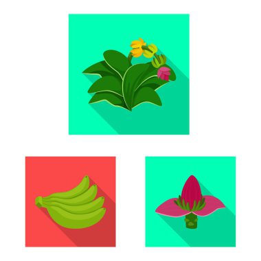 Doğal ve vejetaryen simge vektör Illustration. Hisse senedi için doğal ve yeme vektör simge topluluğu.