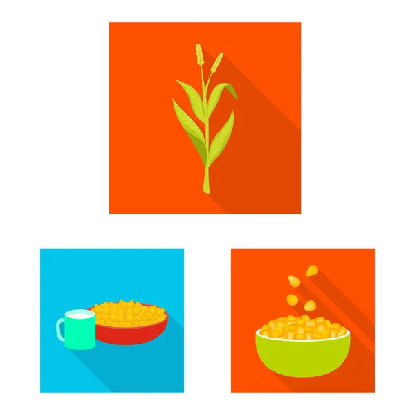 Diseño vectorial del campo de maíz y el icono vegetal. Colección de maizal y símbolo de stock vegetariano para web . — Vector de stock