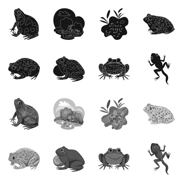 Isolerat objekt av vilda djur och bog ikon. Insamling av vilda djur och reptiler Stock Vector illustration. — Stock vektor