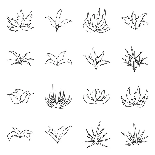 Ilustração vetorial do sinal de sebe e arbusto. Coleção de hedge e floral símbolo de estoque para web . — Vetor de Stock
