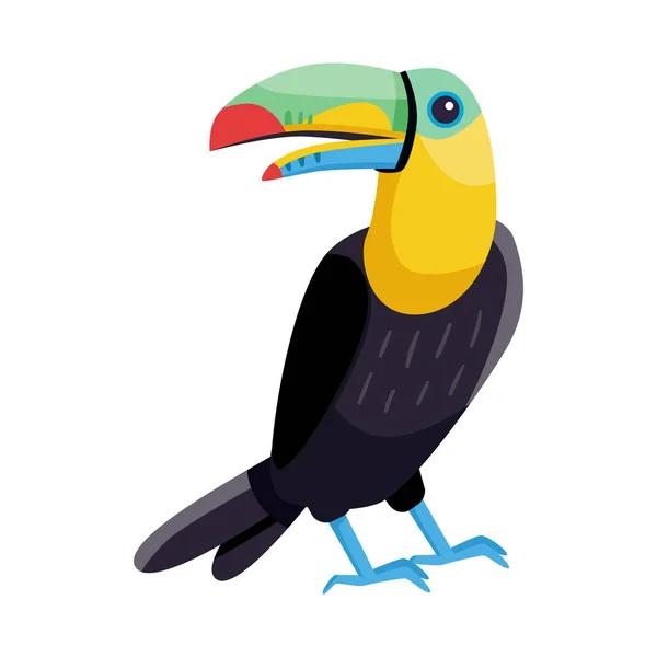 ●トゥーカンと鳥のロゴのベクトルイラスト。ストック用のトゥーカンとジャングルベクトルアイコンのセット. — ストックベクタ