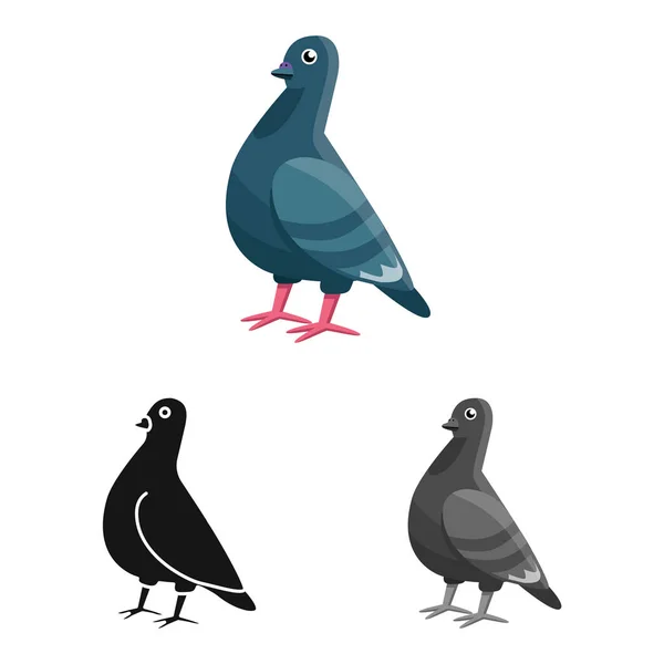 Geïsoleerd voorwerp van duif en vogel teken. Collectie van duif en vrede vector pictogram voor voorraad. — Stockvector